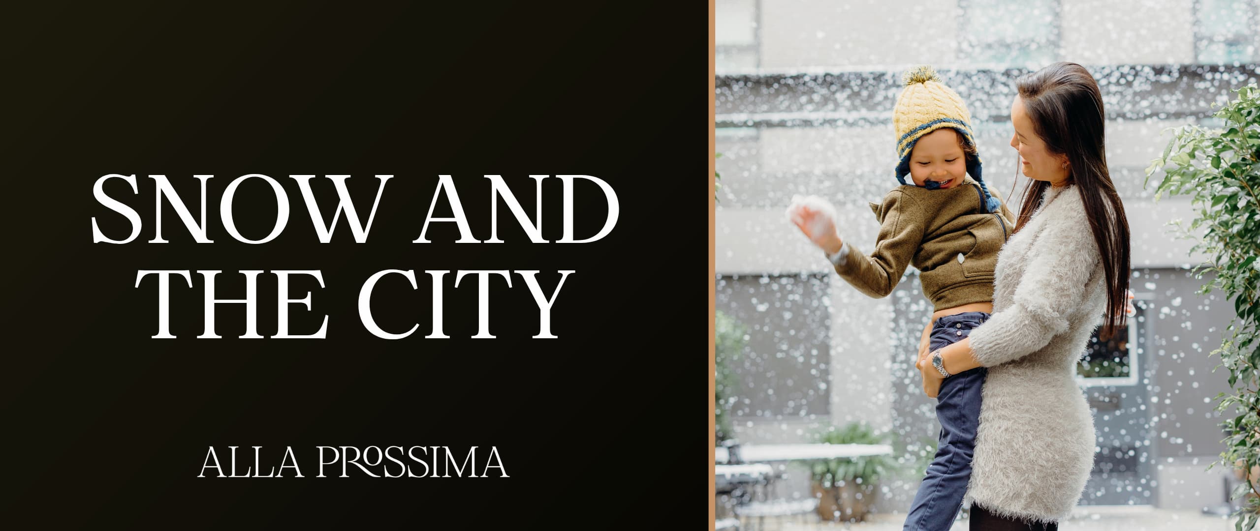 Website Banner 1